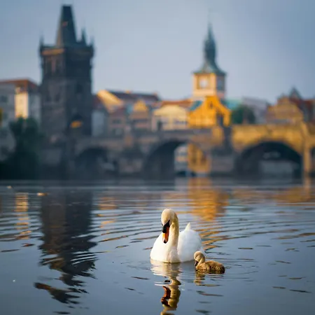 Letná H2 Praga